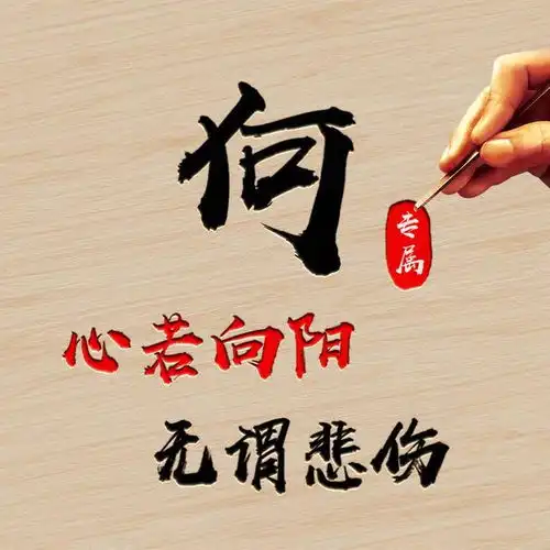  精品姓氏头像13张,高端大气上档次,雕刻版百家姓头像