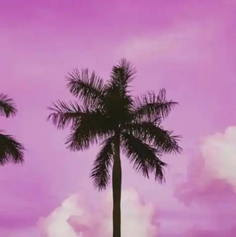 让人羡慕的微信头像天秤
