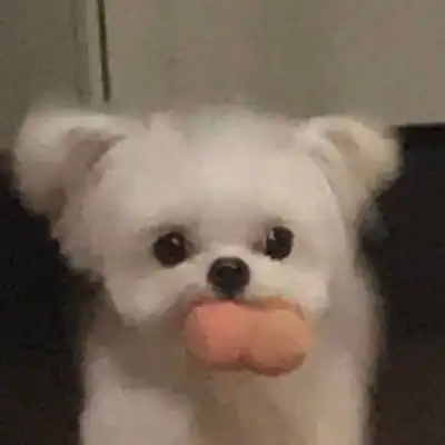  沫兮微信可爱小狗头像