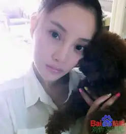  女星与萌物合影甜笑孙俪谢娜刘诗诗争相秀萌相组图