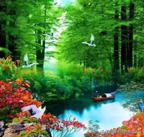  分享图片,分享一组美景,世外桃源,人间仙境风景大自然蓝天白云田园风光网易订阅