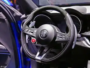  stelvio四叶草版评测
