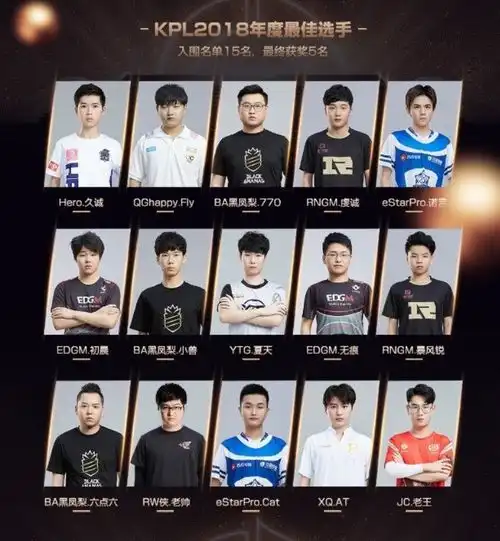  王者荣耀官方发布kpl2018年度最佳奖项入围名单,看看都有谁