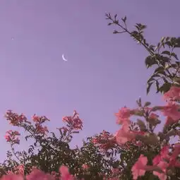  一起悦读吧立于此世,唯一纸一笔足矣