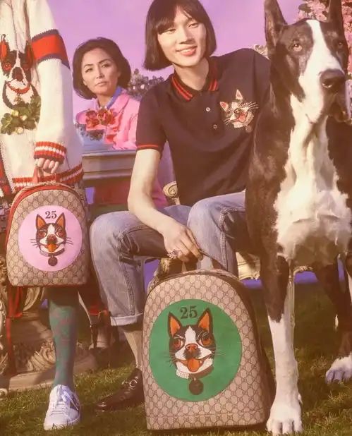  头条gucci狗年新包强势出镜你们对狗有什么误解