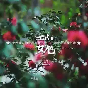  好看的姓氏头像,属于你的独一无二