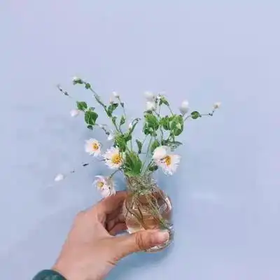 2019新版微信头像花朵头