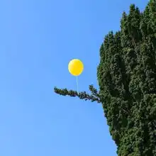  背景图第一眼就心动的人是没法做朋友的