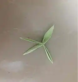  手工折纸大全四叶草简单折纸方法