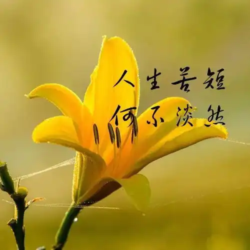  阳光治愈系的早安励志句子,送给努力奋斗的你