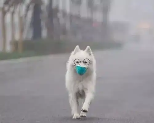  小哥哥小姐姐们,本周六下午,近视手术免费做,还有免费礼品相赠
