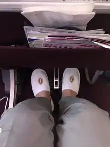  我的假期出行全球最佳经济舱泰航北京曼谷y体验