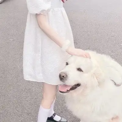  冷门情侣头像二人专用,冷门又好看的情头