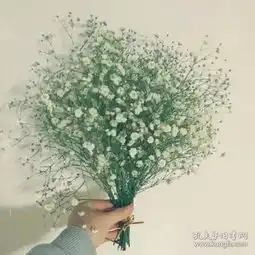  t字头邮票新中国邮票邮票税票
