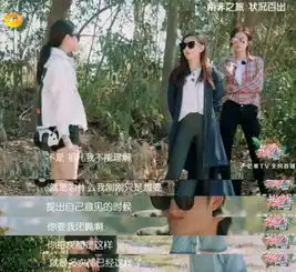  参加节目被炮轰如今穿衣美过杨幂2018年潜力最大的女星是她