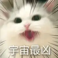  全村都劝我别养那只凶猫,后来...真香