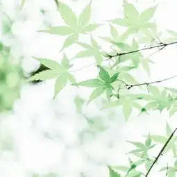  微信头像意境唯美风景图片大全2018爱与被爱这就是差距