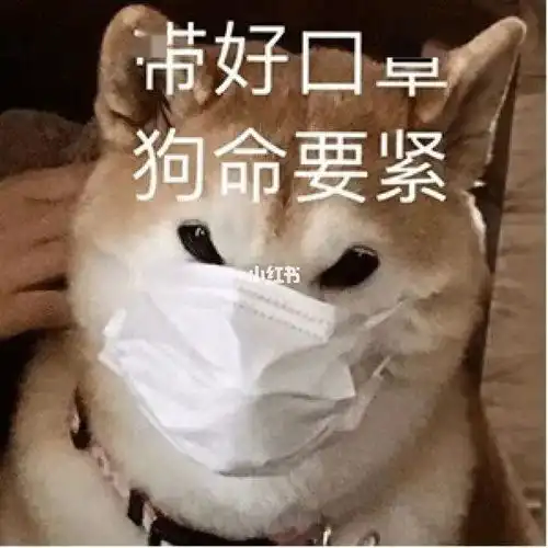  助姐开学手册