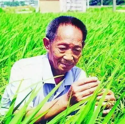  情满中秋乐在国庆国庆节特辑袁隆平爷爷的故事
