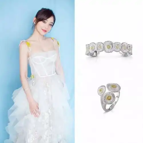  章子怡最爱单品曝光让所有女明星都爱不释手的它,魅力竟然这么大