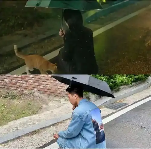 挽留中国游客,韩国政府开始整顿旅游业,为什么没人去韩国旅游了