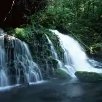 紫色山水风景微信头像优