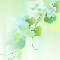  微博头像简约干净