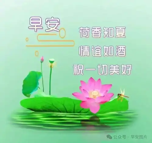  2024年5月6日早安周一最美早安问候祝福语图片,唯美早安祝福语图片集锦