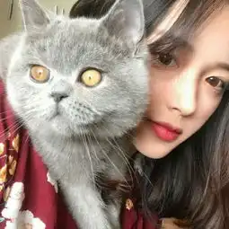 女生头像萌宠小狗刺猬
