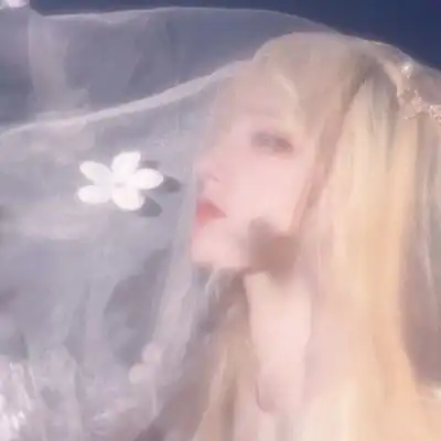  池乔婚纱女头纱白色超好看头像