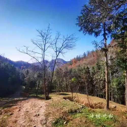  十堰警方昨天出动无人机,在山林里搜寻找到了