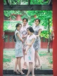  北大美女旗袍照走红清新脱俗