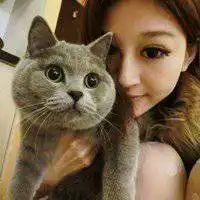 可爱猫咪头像女生霸气高