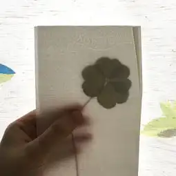  四叶草花图片做头像