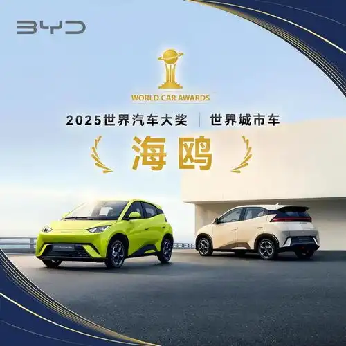  比亚迪2025年一季度全球多市场登顶风靡各界名流
