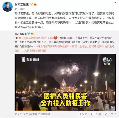  迪士尼上空的烟花,是张文宏的信心,更是上海的信心