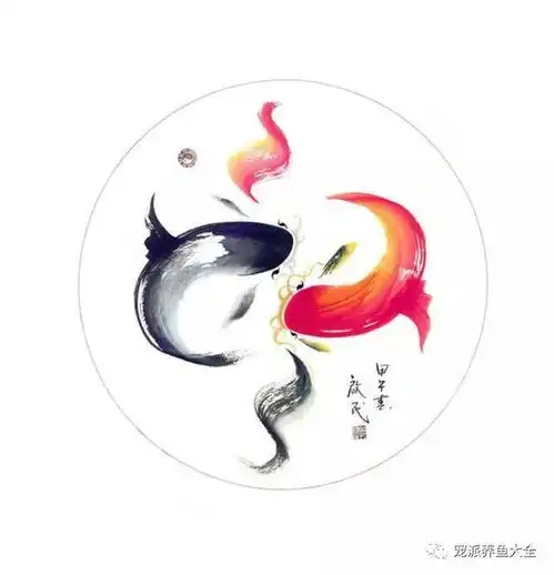  传说中最有风水意义的八种鱼,新年养几条大吉大利