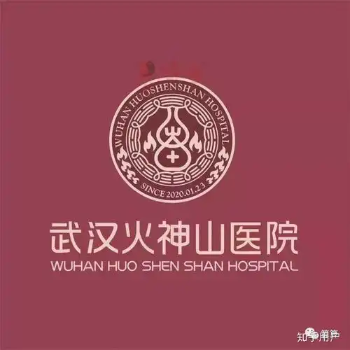  火神山雷神山图标寓意