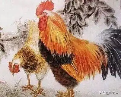  属鸡人的后50年尤其是1969年的,老人讲的话真不是骗你的