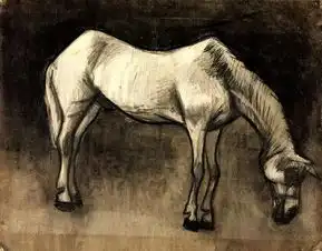  梵高一生画的素描手稿