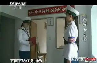  揭秘朝鲜女交警工作生活