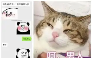  抖音最恐怖的男友,聊天说出十五个字吓坏女友,网友聊天结束