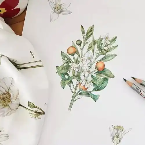  她画笔下的画都被她赋予了情感和生命,清新脱俗