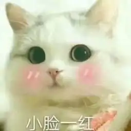  军训篇军训吐槽