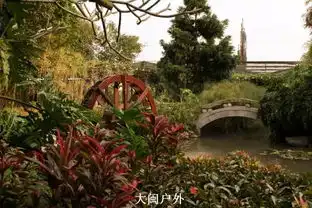  东南花都花博会云洞岩e部落每周上百个各类活动,汇聚数十万厦门上班族