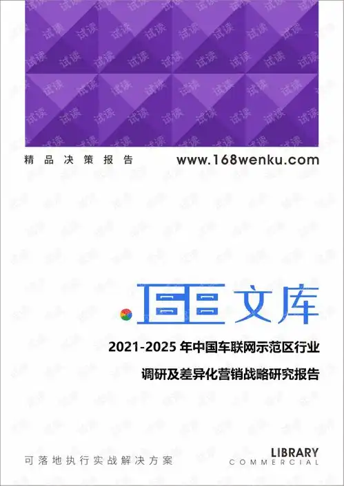  20212025年中国车联网示范区行业调研及差异化营销战略研究报告.pdf