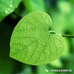  让校园管理更简单让家校沟通更有效钉钉使用心得交流