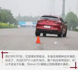  suv除了urus,还见过谁01破4秒测stelvio四叶草