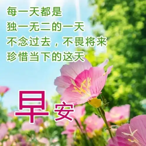  早上好问候语,祝福天天有,友谊更长久