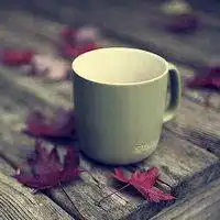  2019一杯清茶一本书头像微信头像图片大全